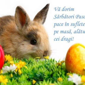 Mesaj de felicitare cu prilejul Sărbătorilor Pacale