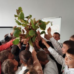 Activitatea creativă „Sub culorile toamnei”