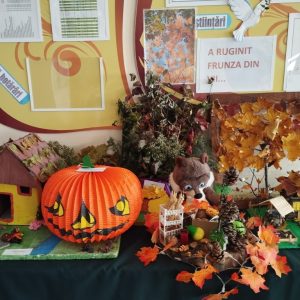 Expoziția de toamnă